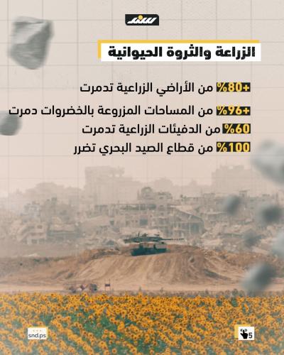 غزة 2025.. إبادة للبشر والحجر والشجر5.jpg