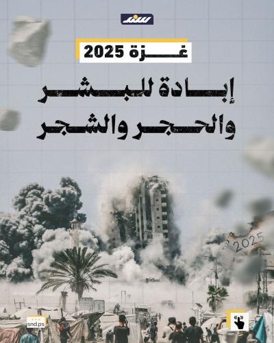 قصة مصورة | غزة 2025.. إبادة للبشر والحجر والشجر