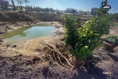 منبع حياة يتحول إلى خطر صحي.. آثار القصف تخلق أحواض صرف ملوِّثة في المزارع7.jpg