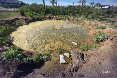 منبع حياة يتحول إلى خطر صحي.. آثار القصف تخلق أحواض صرف ملوِّثة في المزارع4.jpg