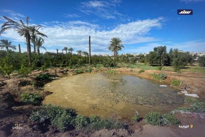 منبع حياة يتحول إلى خطر صحي.. آثار القصف تخلق أحواض صرف ملوِّثة في المزارع1.jpg
