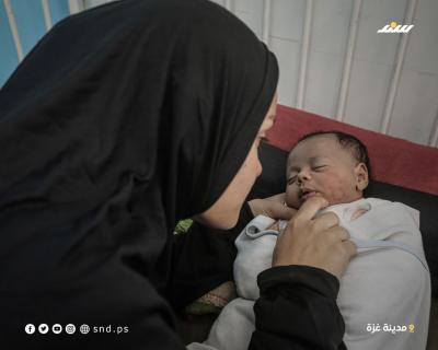 إصابة رضيع بعضة فأر بغزة  (3).jpg