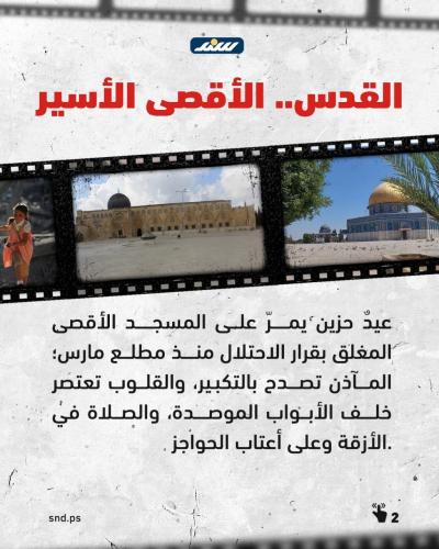 عيد فلسطين  (4).jpg