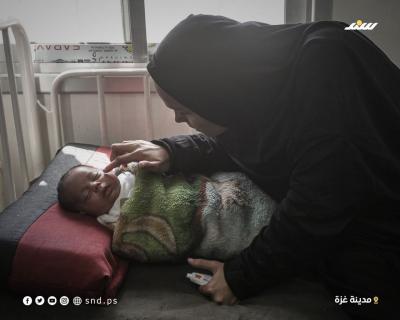 إصابة رضيع بعضة فأر بغزة  (4).jpg