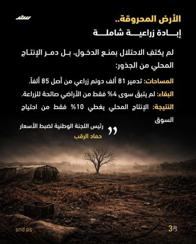 قصة مصورة هندسة التجويع (3).jpg