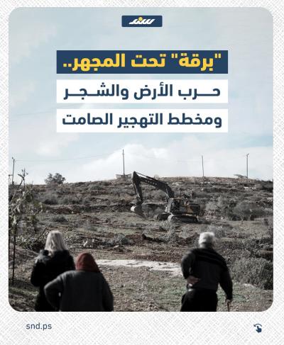 برقة تحت المجهر.jpg