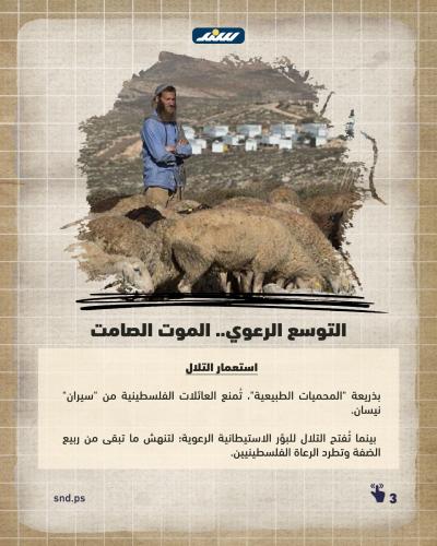 الربيع بالضفة (3).jpeg