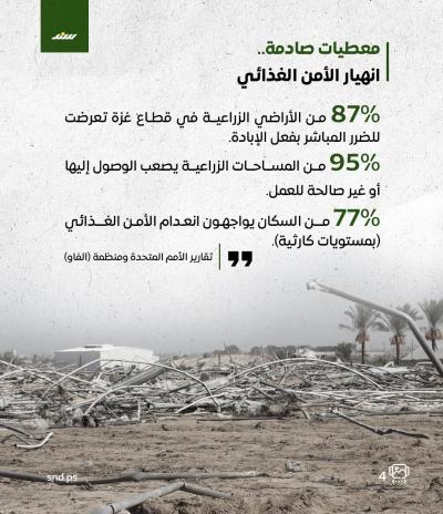 كيف يقتل الاحتلال تربة غزة بالأسمدة المفقودة؟4.jpg