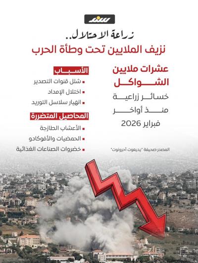 إنفوجرافيك | زراعة الاحتلال.. نزيف الملايين تحت وطأة الحرب
