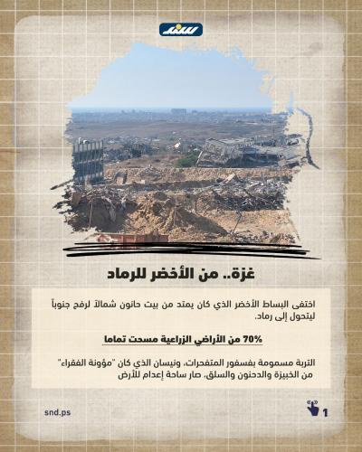 الربيع بالضفة (5).jpeg