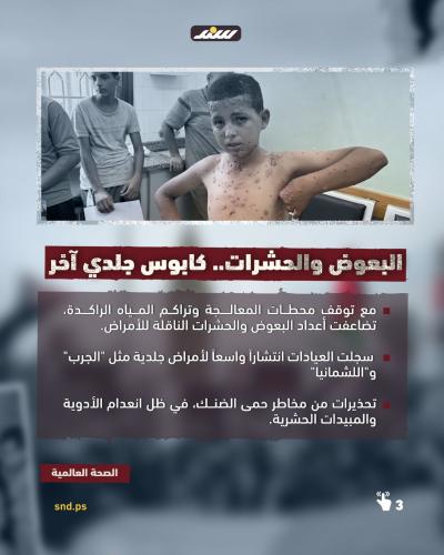 قصة مصورة- القوارض في غزة  (3).jpeg