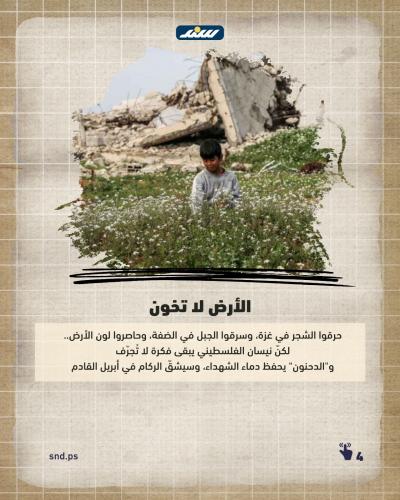 الربيع بالضفة (2).jpeg