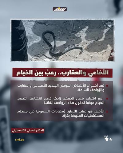 قصة مصورة- القوارض في غزة  (2).jpeg