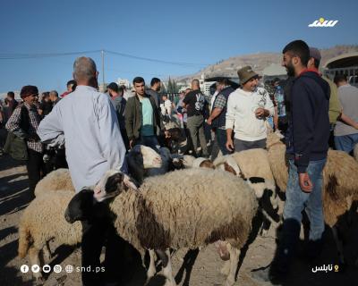 خراف.jpg