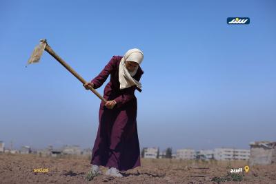امرأة عاملة.jpg