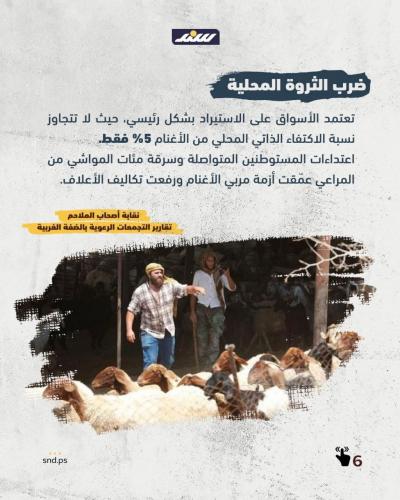 الأضحية في الضفة  (2).jpg
