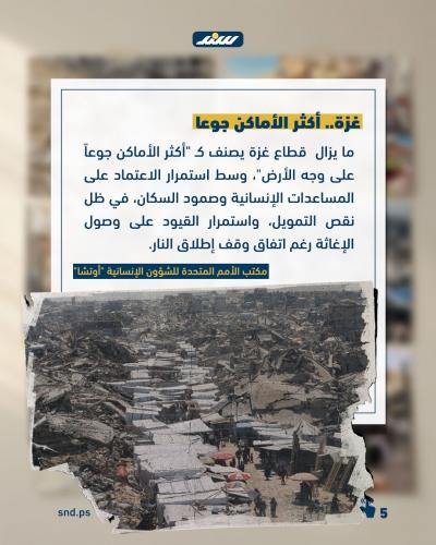 مجاعة غزة5.jpg