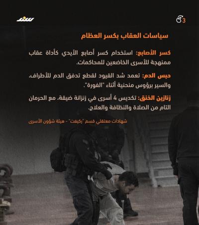 ثلاثة.jpg
