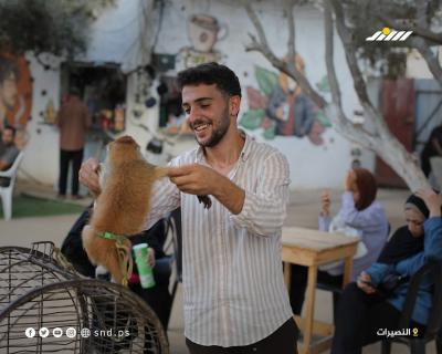 مشاهد من حديقة حيوانات في مخيم النصيرات وسط قطاع غزة1.jpg