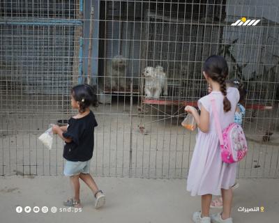 مشاهد من حديقة حيوانات في مخيم النصيرات وسط قطاع غزة4.jpg