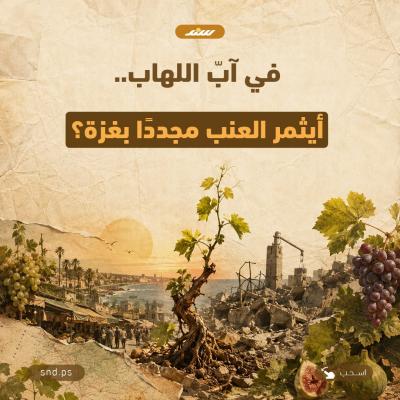 أيثمر العنب مجددًا في غزة.jpg