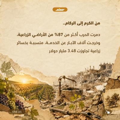 أيثمر العنب مجددًا في غزة4.jpg
