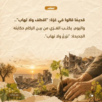 أيثمر العنب مجددًا في غزة6.jpg