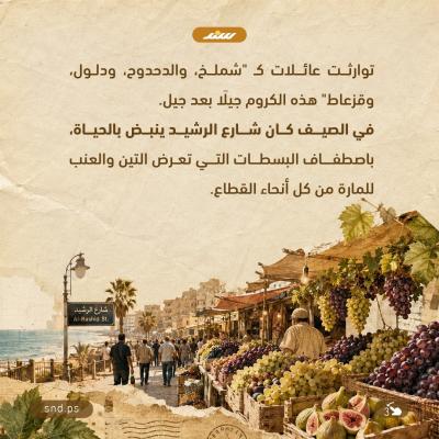 أيثمر العنب مجددًا في غزة3.jpg