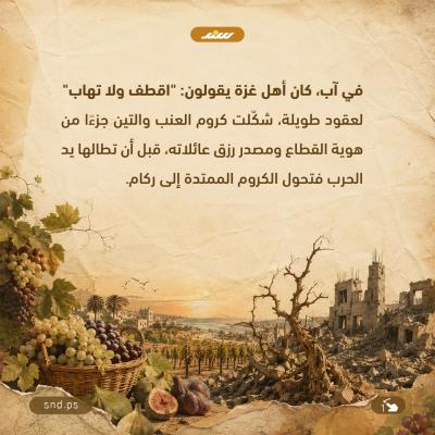 أيثمر العنب مجددًا في غزة1.jpg