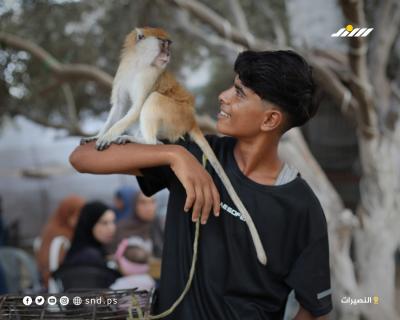مشاهد من حديقة حيوانات في مخيم النصيرات وسط قطاع غزة5.jpg