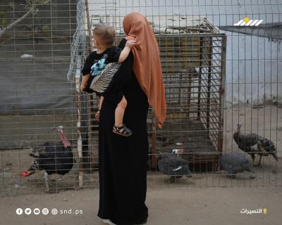 مشاهد من حديقة حيوانات في مخيم النصيرات وسط قطاع غزة2.jpg