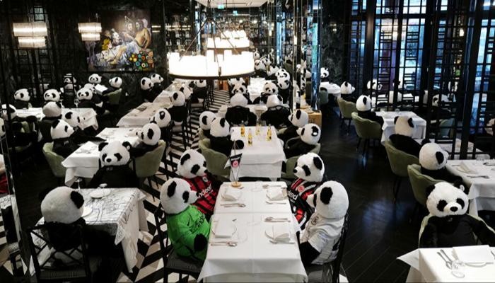 127-164559-restaurant-berlin-replaces-customers-panda-games_700x400.jpg