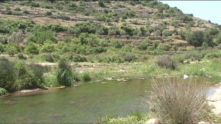 محمية طبيعية 2.jpg
