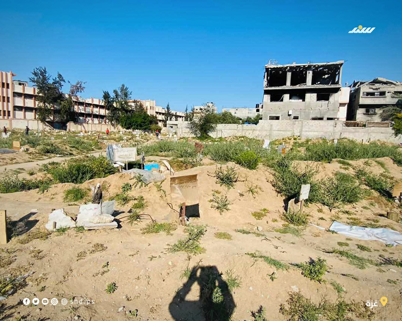 قبور شهداء غزة 3.jpg