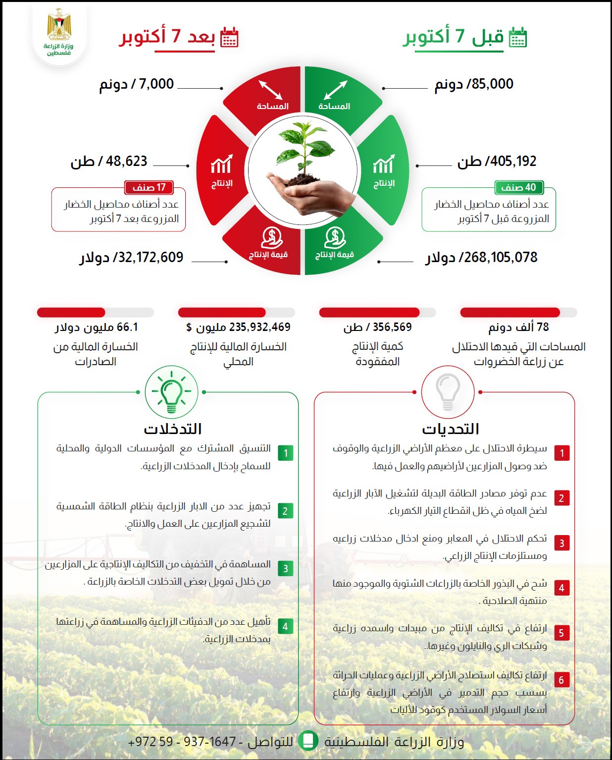 تقرير انفوجرافيك عن قطاع الخضروات خلال حرب الإبادة الجماعية 2.jpg