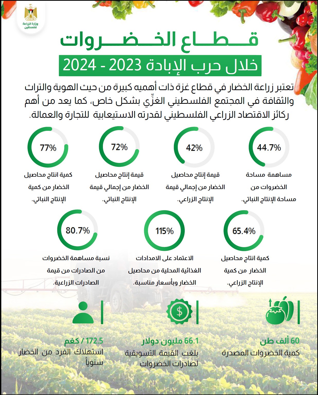 تقرير انفوجرافيك عن قطاع الخضروات خلال حرب الإبادة الجماعية 1.jpg