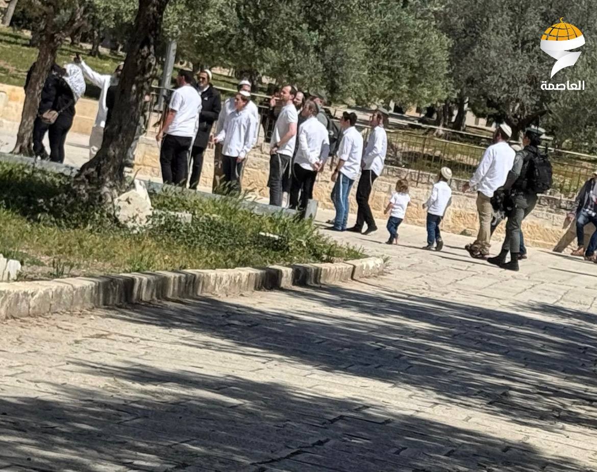 مستوطنون يقتحمون الأقصى  (2).jpg