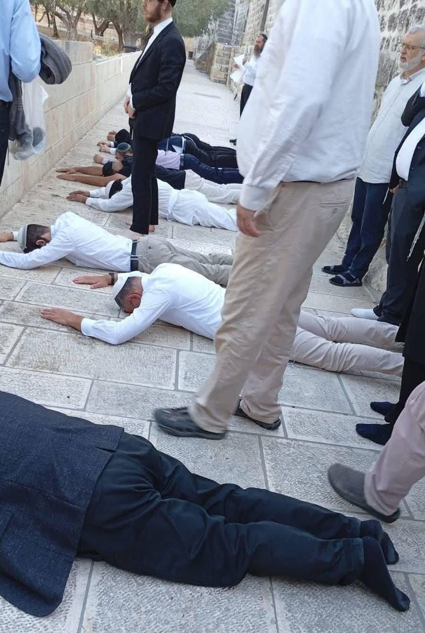 سجود ملحم.jpg