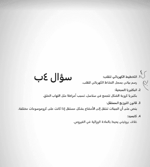 screenshot-6-1751280353.png