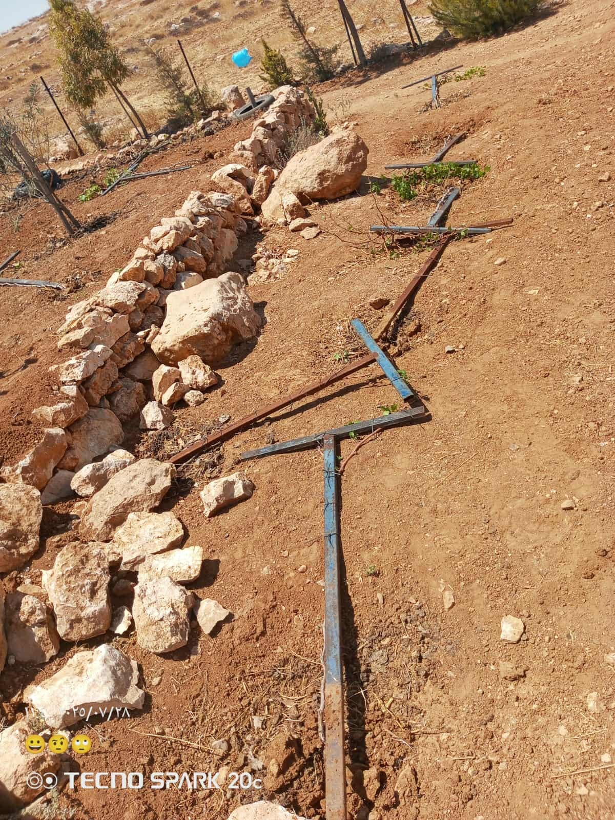 اعتداءات المستوطنين.jpg
