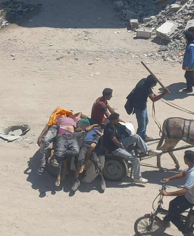 نقل الشهداء من زكيم.jpg