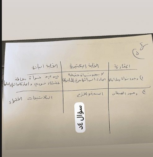 screenshot-7-1751280362.png