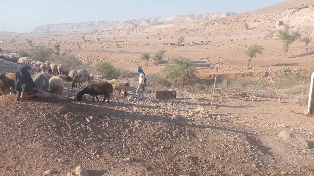 مستوطنون.jpg