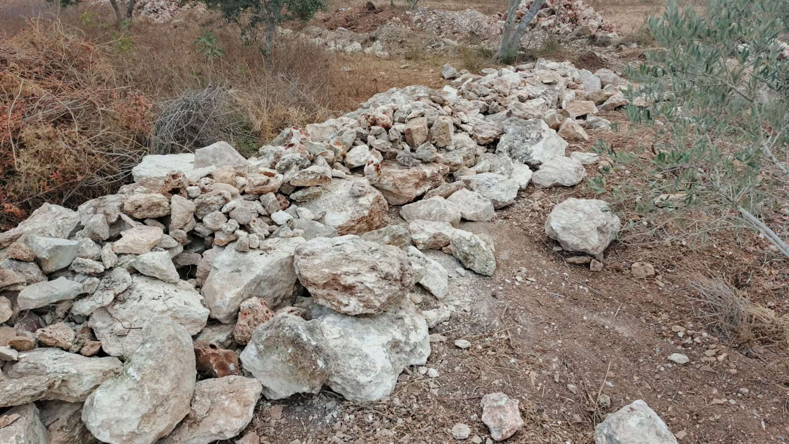 هدم سلاسل حجرية وتكسير أشجار في سلفيت (3).jpg