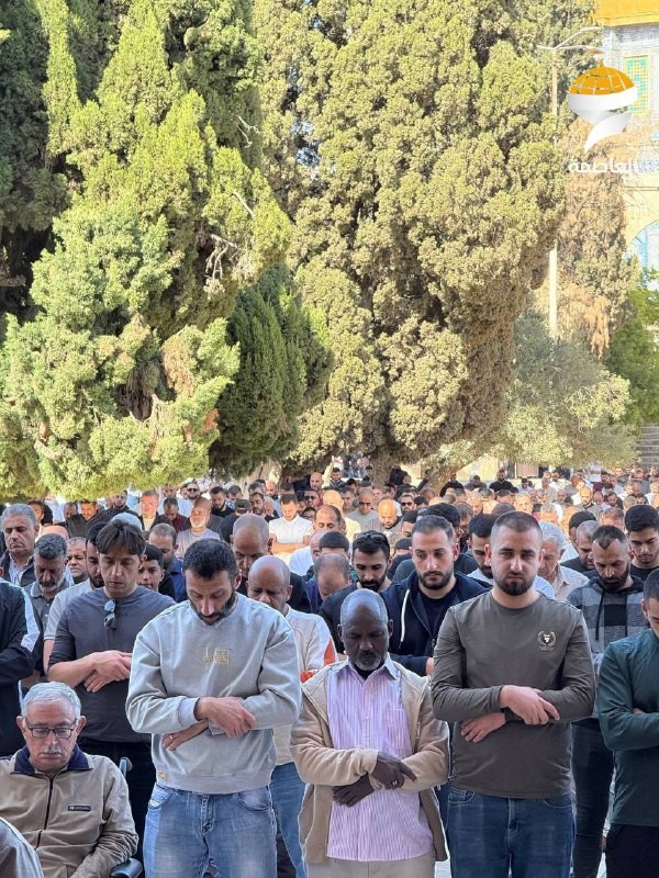 الصلاة في الاقصى.jpg