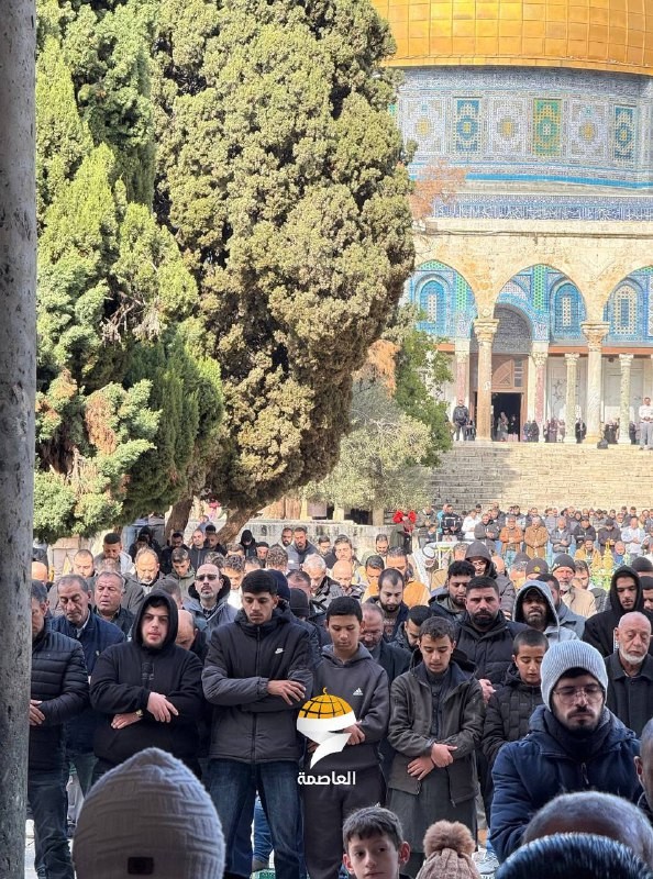 الأقصى.jpeg