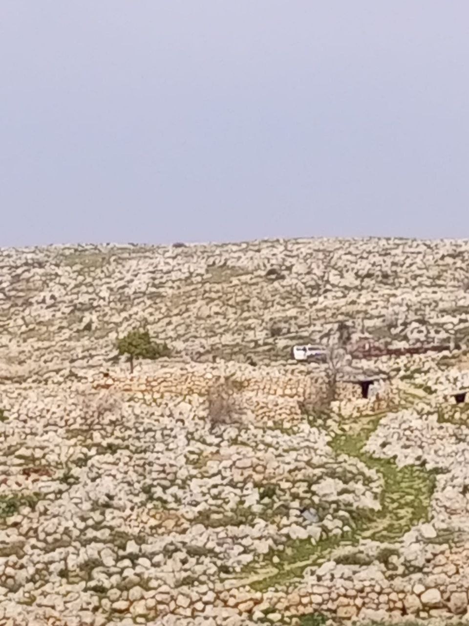مستوطنون.jpg