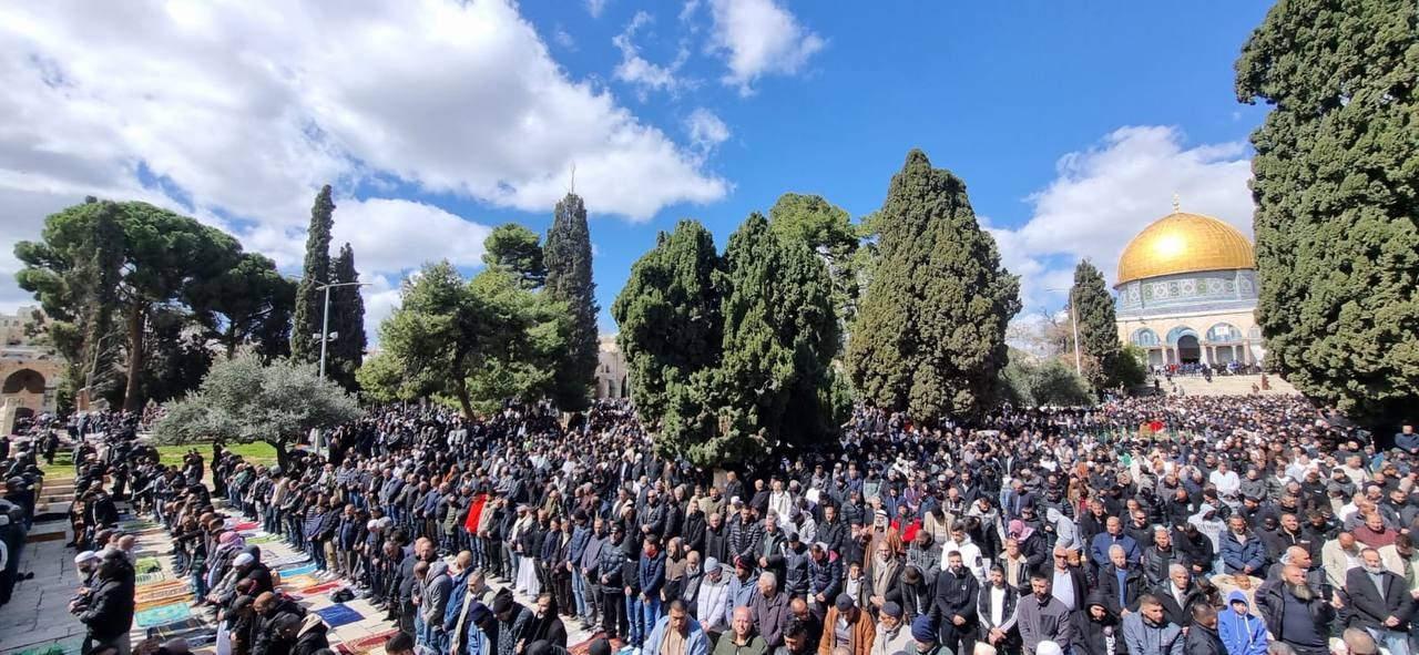 ������ �� ������ ������.jpg