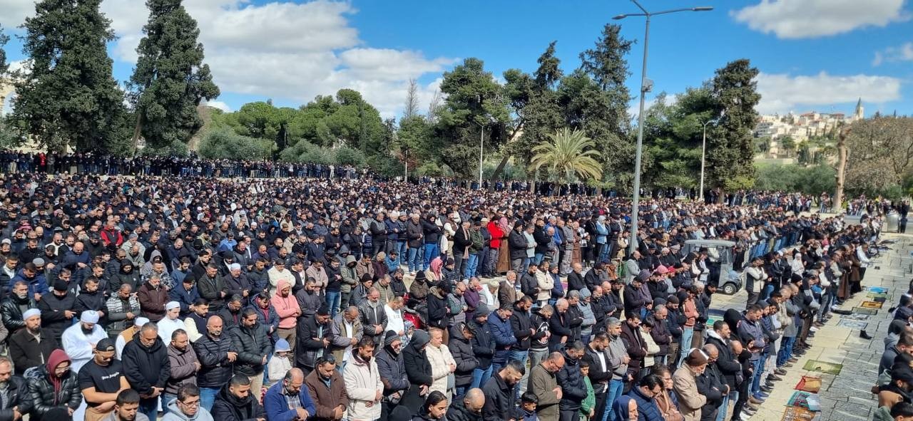 ������ �� �����.jpg