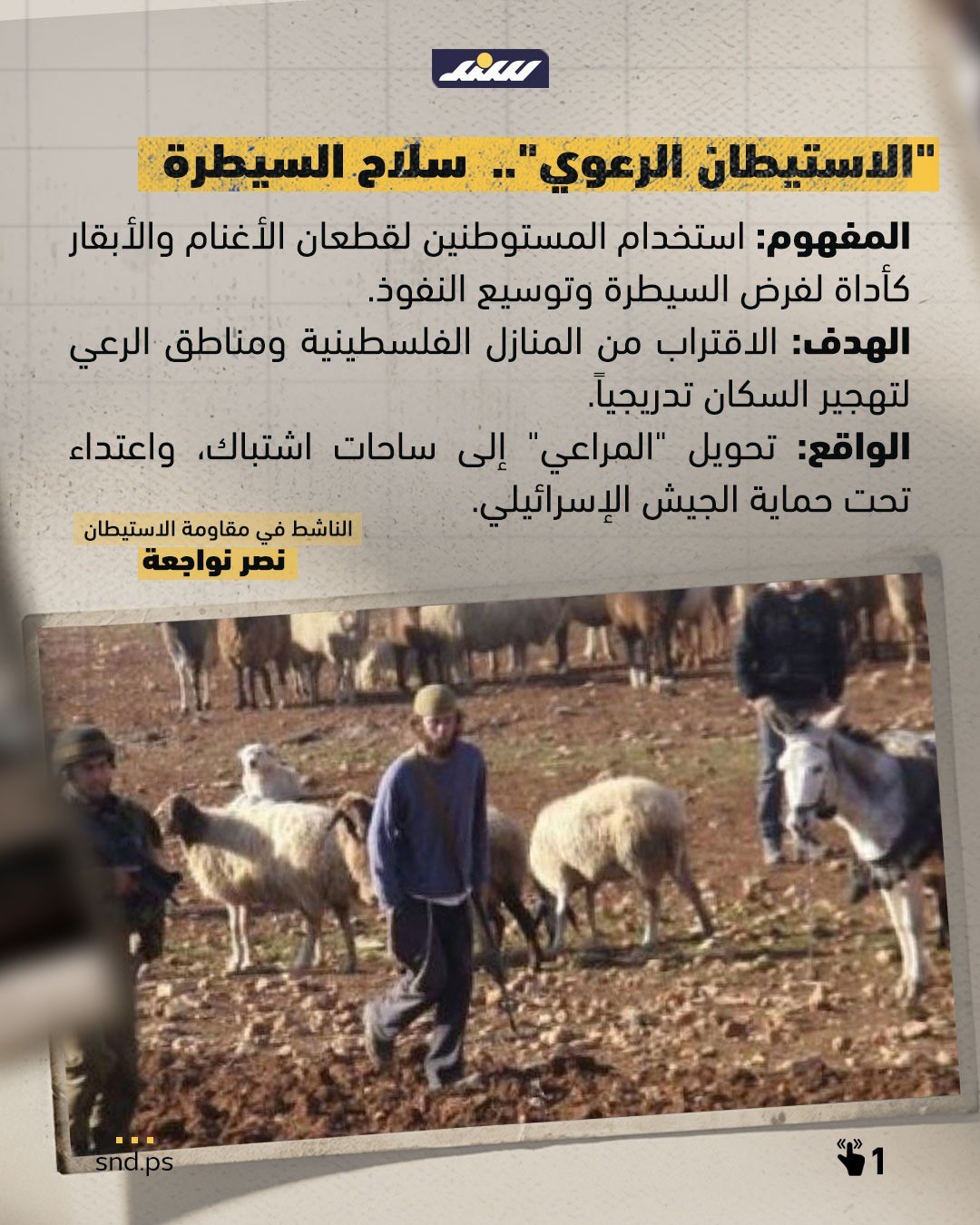 الاستيطان الرعوي.jpg